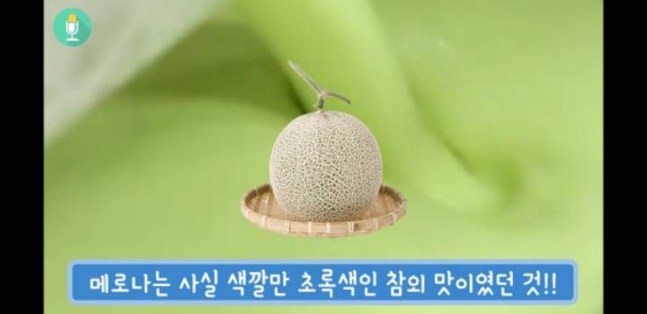 메로나9.jpg