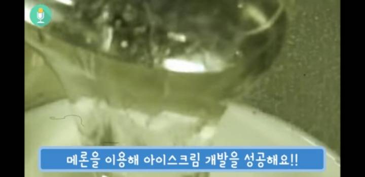 메로나5.jpg