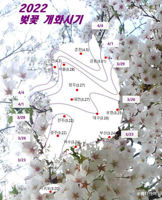2022년 벚꽃 피는 시기.JPEG
