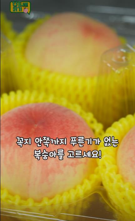 꿀복숭아 고르는 팁-03.JPEG