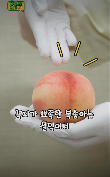꿀복숭아 고르는 팁-06.JPEG