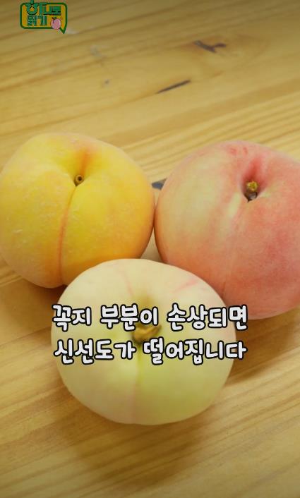 꿀복숭아 고르는 팁-09.JPEG