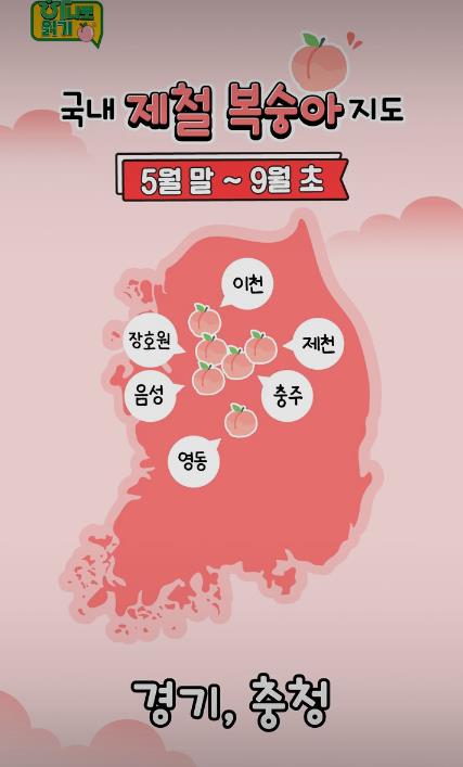 꿀복숭아 고르는 팁-11.JPEG