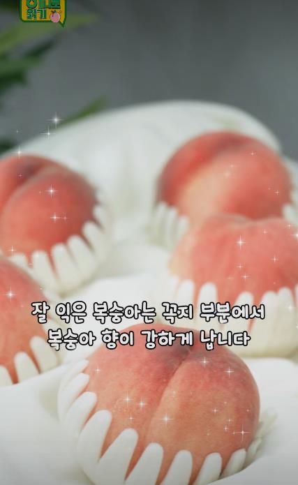 꿀복숭아 고르는 팁-10.JPEG
